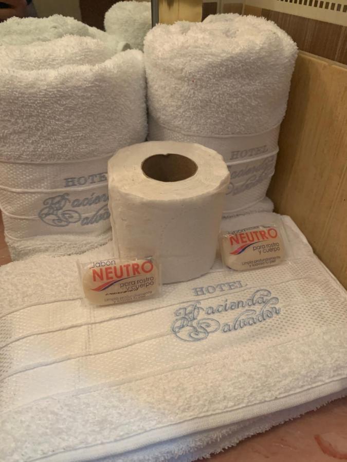 Hotel Hacienda Salvador San Juan de los Lagos Eksteriør billede